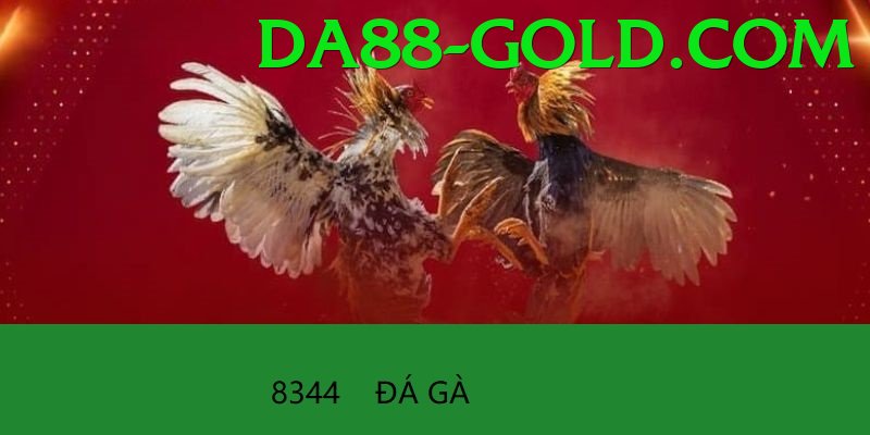 Trường Đấu Đá Gà Chuyên Nghiệp - Game nhập vai