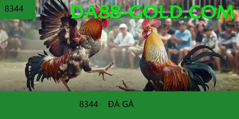 Cách Đọc Kèo Đá Gà - Game 2D